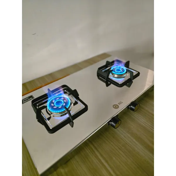 Titan 2-Burner Stainless Steel Gas Stove: Durable & Efficient Cooking