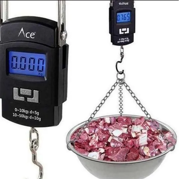 Pocket 50kg Digital Hanging Scale – Luggage, Fishing & Parcel Weighing 