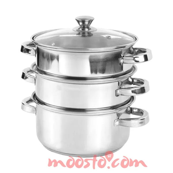 Signoraware 20cm Stainless Steel Momo Steamer – 2-Tier Multi-Purpose Cooker with Glass Lid