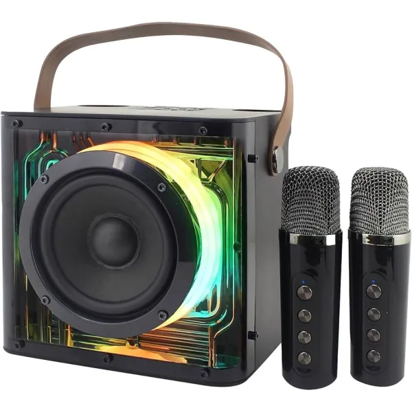 Havit SK822BT Portable Karaoke Speaker – 15W Bluetooth Speaker with Dual Wireless Microphones & RGB Lights