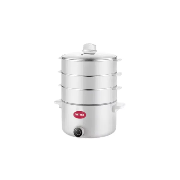 Master Electric Cooker